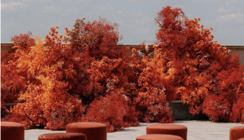 bouquet arrangement 2